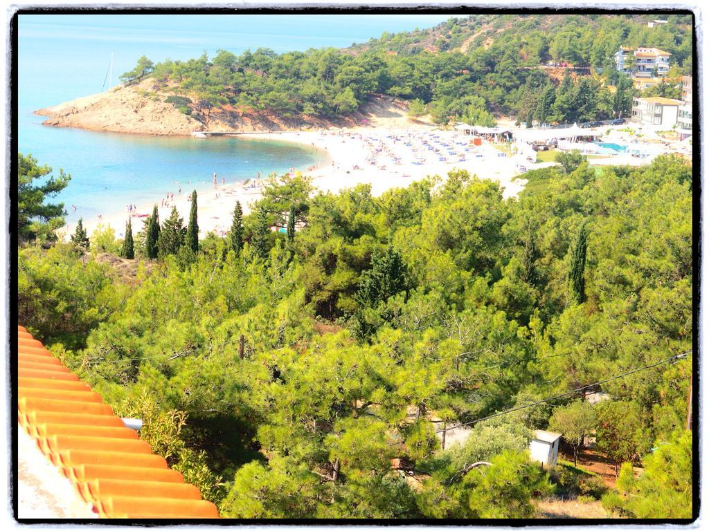 Studios Thanasis Limenaria  Luaran gambar